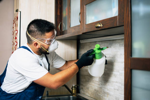 Best Pest Prevention Services  in South Amherst, OH