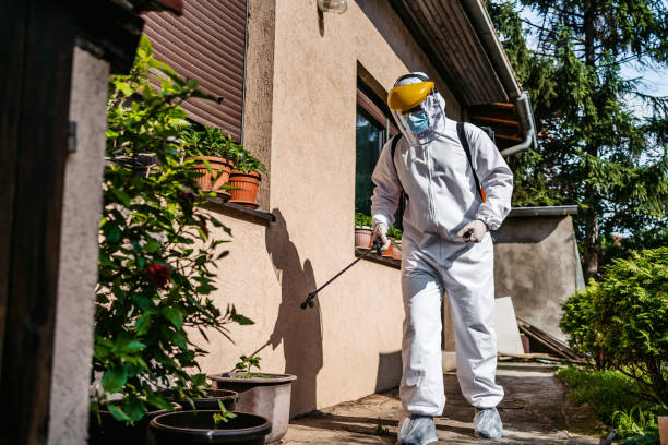 Best Flea Control Services  in South Amherst, OH