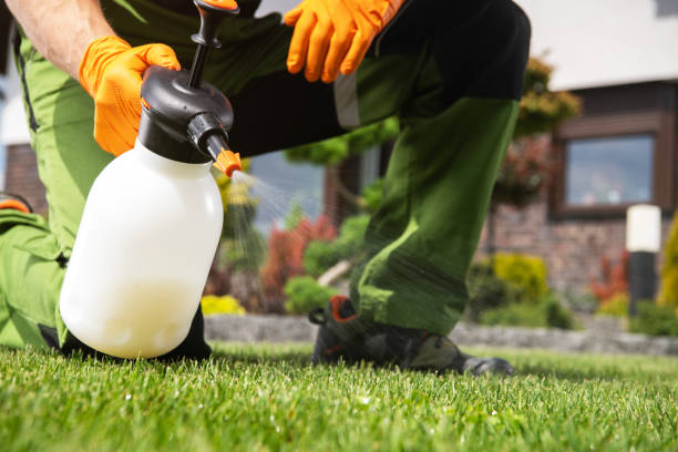 Best Residential Pest Control  in South Amherst, OH