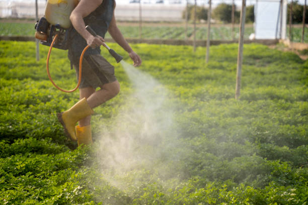 Best Best Pest Control Companies  in South Amherst, OH