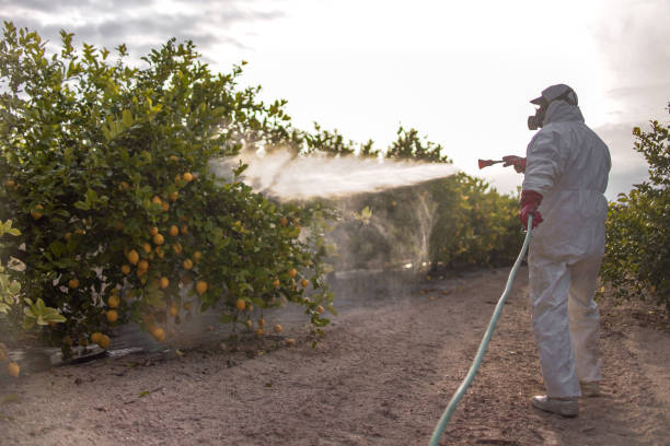 Trusted South Amherst, OH Pest Control Experts