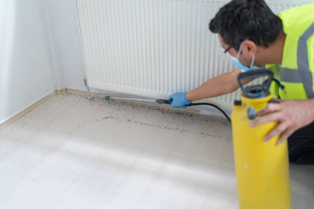 Best Pest Control Near Me  in South Amherst, OH